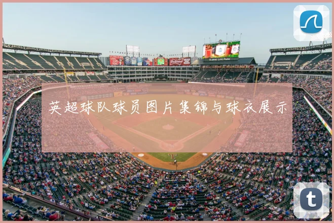 英超球队球员图片集锦与球衣展示