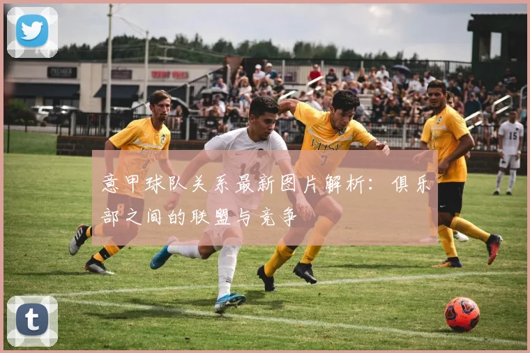 意甲球队关系最新图片解析：俱乐部之间的联盟与竞争