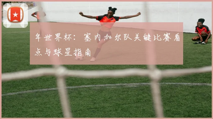 年世界杯：塞内加尔队关键比赛看点与球星指南